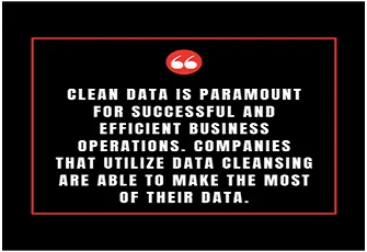 What Is Data Cleansing and Why Do Companies Need It?