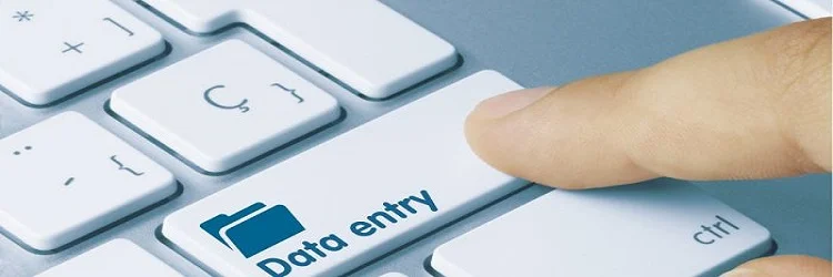 How To Avoid Manual Data Entry Challenges?