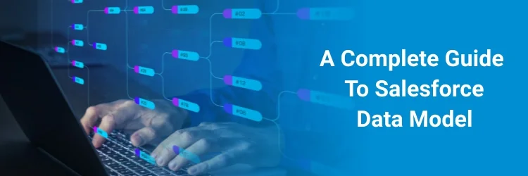 A Complete Guide To Salesforce Data Model