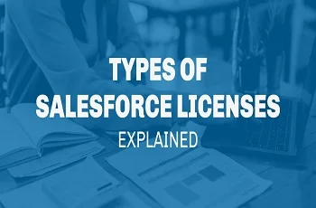 What Are Different Salesforce License Types?