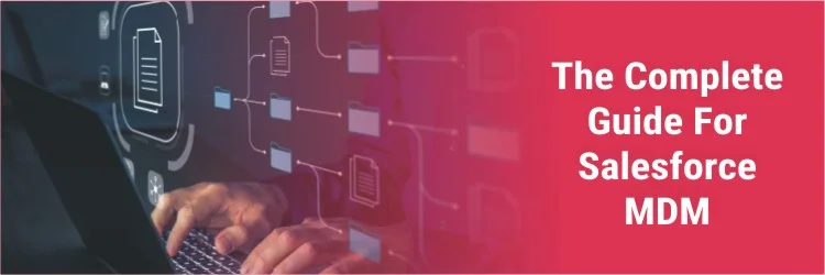 Salesforce MDM Guide